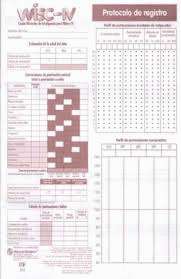 WISC IV PROTOCOLO DE REGISTRO P 15