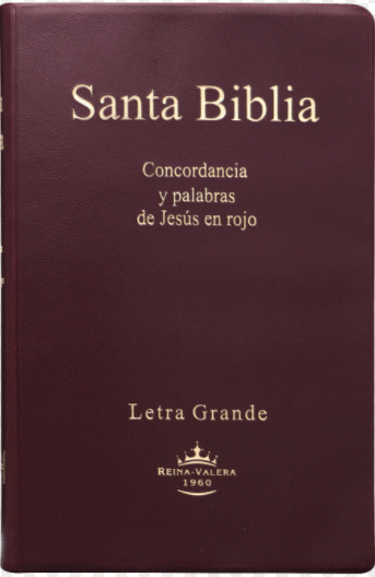 SANTA BIBLIA REINA VALERA 1960 VINO CONTORNO ROSA LETRA GRANDE