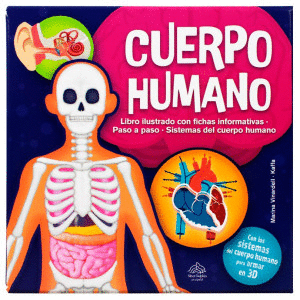 CUERPO HUMANO    PD    CONSTRUYE EN 3D