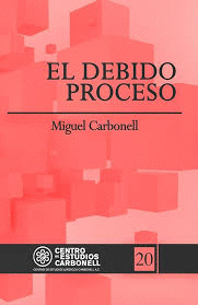 EL DEBIDO PROCESO